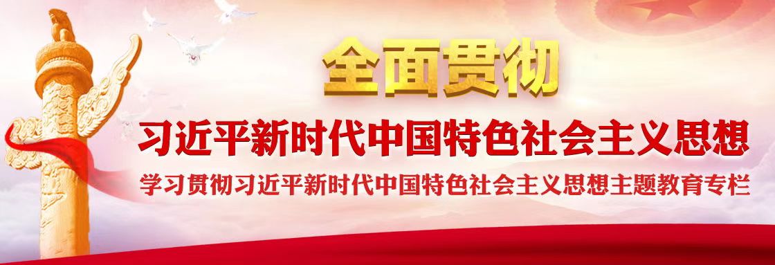 學(xué)習貫徹習近平新時(shí)代中國特色社會(huì )主義思想主題教育